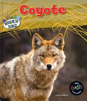 Afbeelding van Coyote