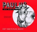 Afbeelding van Paulus de boskabouter / 21 het bretonse beest