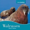 Afbeelding van Walrussen