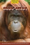 Afbeelding van Orang oetans