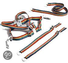 Afbeelding van ISI Mini - Tuigje Looplijn - Regenboog