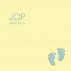 Afbeelding van 20 stuks geboortekaart met baby voetjes 911.062