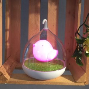 Afbeelding van Vogel Lamp in vorm Vogelkooitje Roze