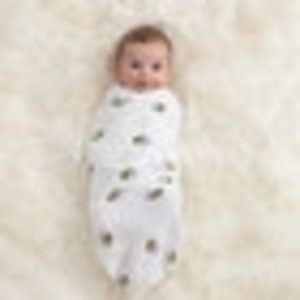 Afbeelding van Aden + Anais Swaddle 4-pack Mod About